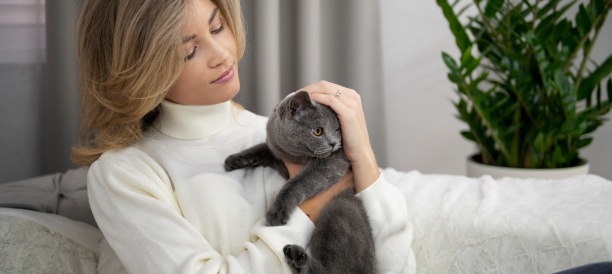 Top Cat Grooming Services and Cat Groomers in Boston